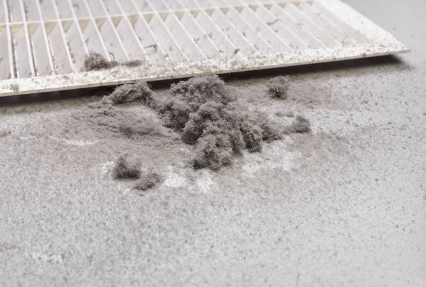 Best Best Air Duct Cleaning Company  in Hanover, IN